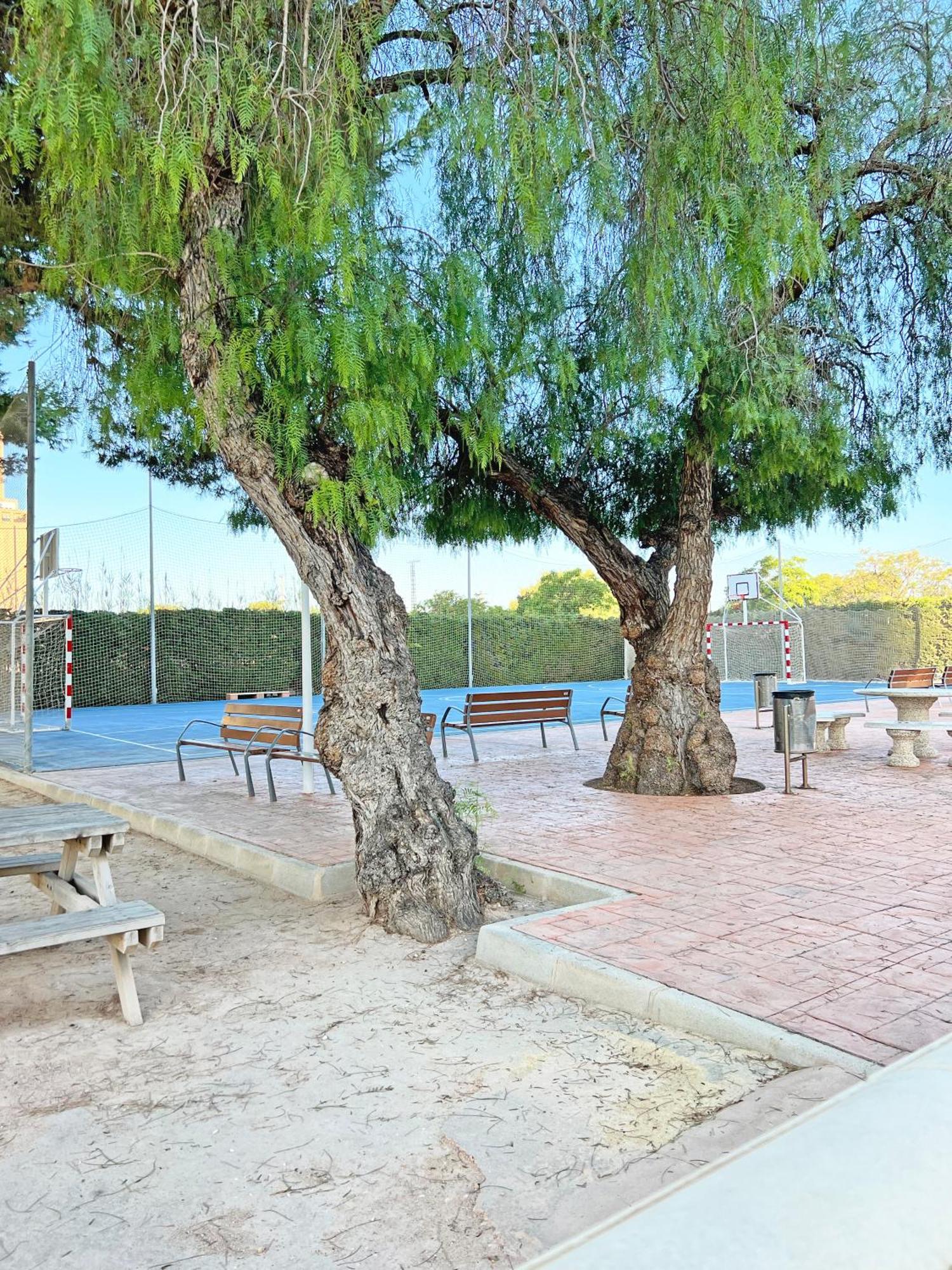 坎佩略Coqueto Con Piscina, Nuevo A 50M Del Mar, Parking Gratis公寓 外观 照片