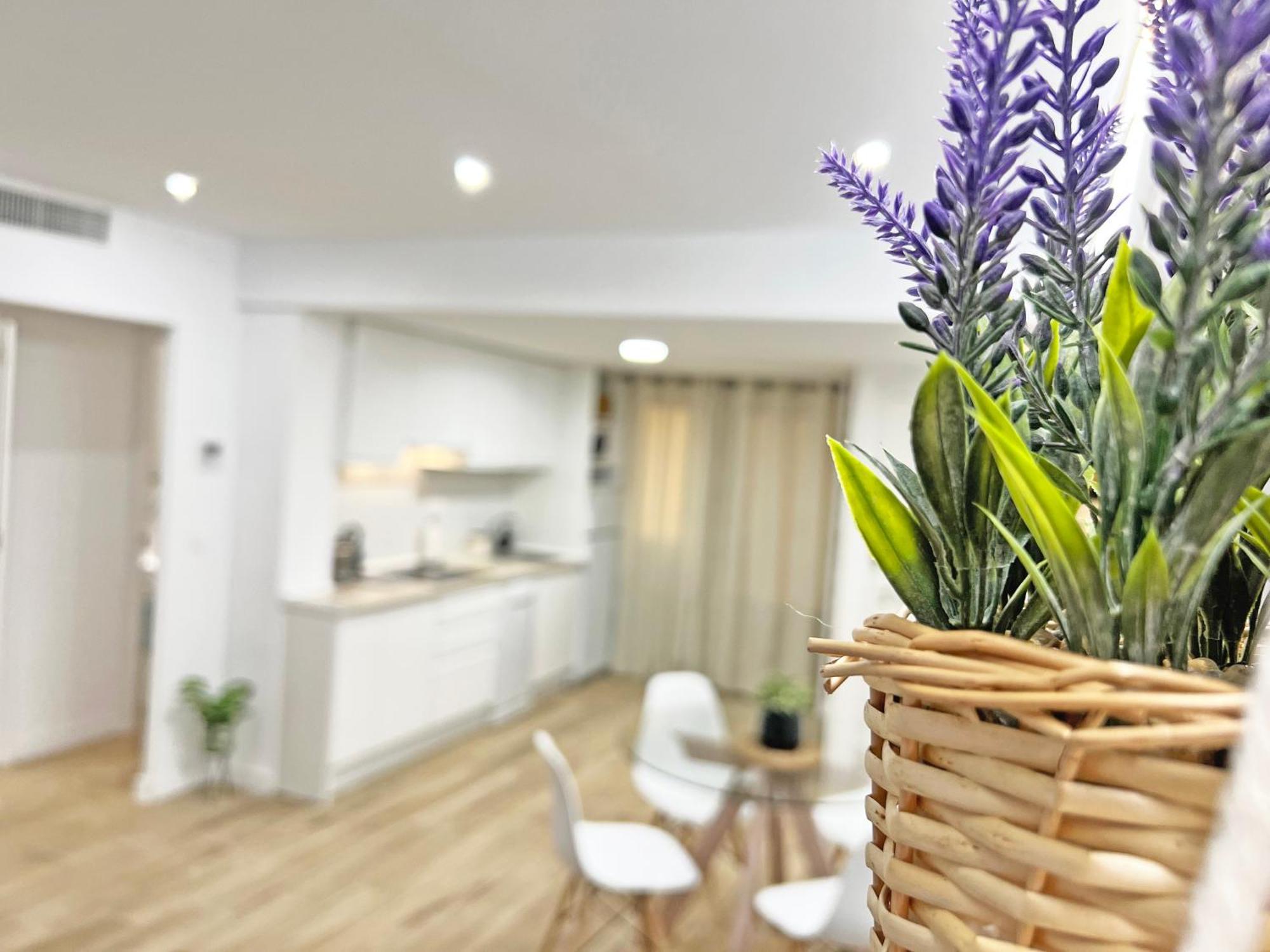 坎佩略Coqueto Con Piscina, Nuevo A 50M Del Mar, Parking Gratis公寓 外观 照片